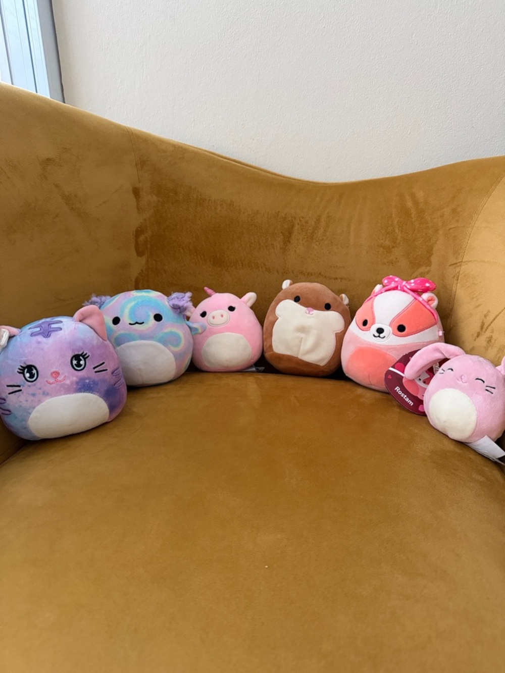 Squishmallows Animals Bundle 6